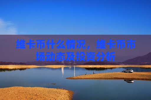 维卡币什么情况，维卡币市场动态及投资分析