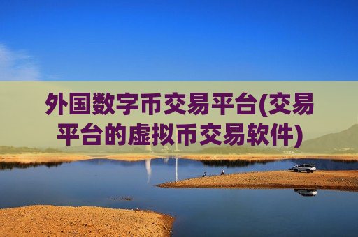 外国数字币交易平台(交易平台的虚拟币交易软件)
