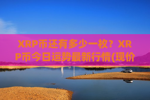 XRP币还有多少一枚？XRP币今日运势最新行情(现价16.9933元)