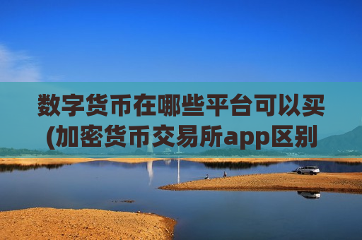 数字货币在哪些平台可以买(加密货币交易所app区别分析)