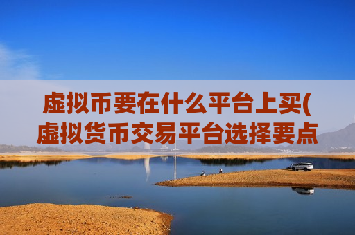 虚拟币要在什么平台上买(虚拟货币交易平台选择要点)
