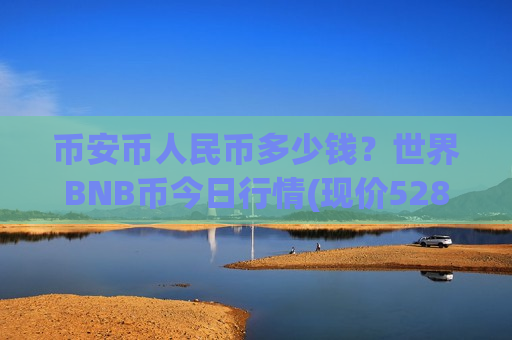 币安币人民币多少钱？世界BNB币今日行情(现价5288.1元)