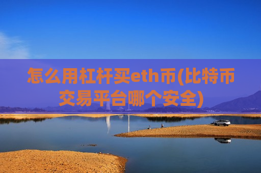 怎么用杠杆买eth币(比特币交易平台哪个安全)