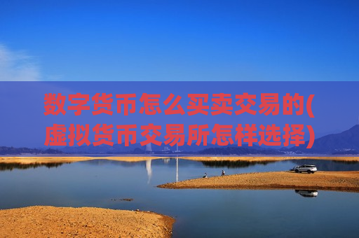 数字货币怎么买卖交易的(虚拟货币交易所怎样选择)