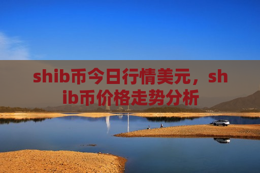 shib币今日行情美元，shib币价格走势分析