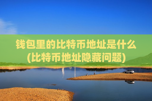 钱包里的比特币地址是什么(比特币地址隐藏问题)