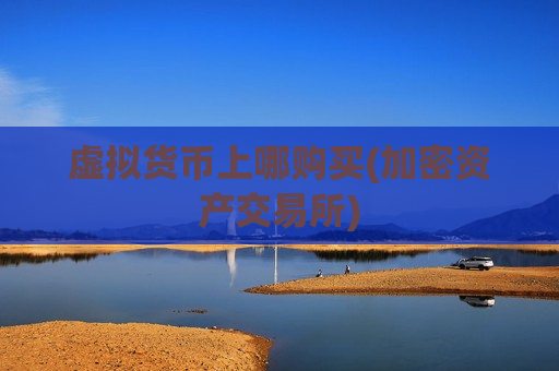 虚拟货币上哪购买(加密资产交易所)