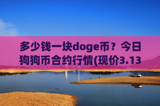 多少钱一块doge币？今日狗狗币合约行情(现价3.1385元)