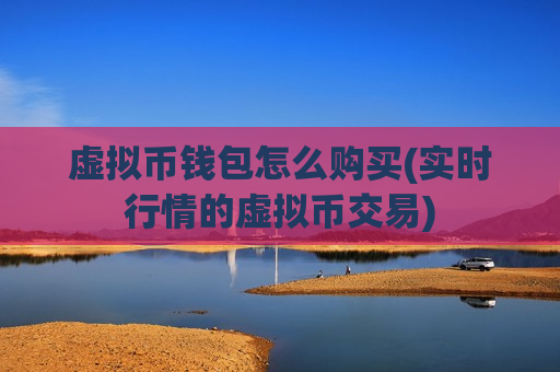 虚拟币钱包怎么购买(实时行情的虚拟币交易)