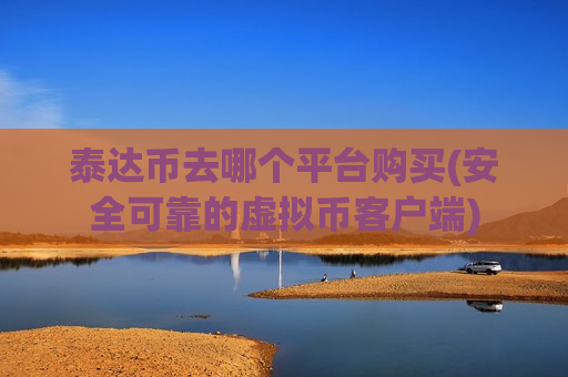 泰达币去哪个平台购买(安全可靠的虚拟币客户端)