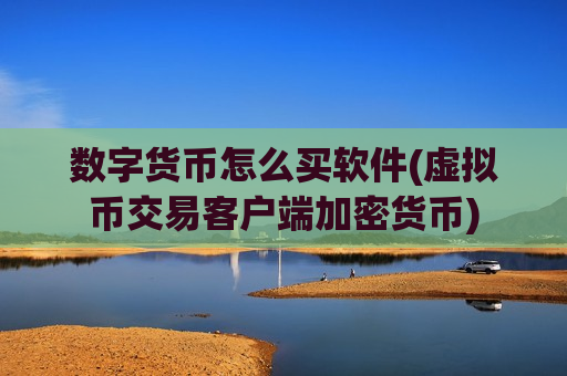 数字货币怎么买软件(虚拟币交易客户端加密货币)