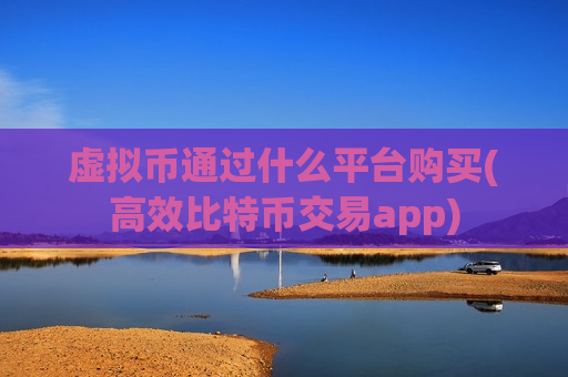 虚拟币通过什么平台购买(高效比特币交易app)