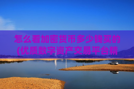 怎么看加密货币多少钱买的(优质数字资产交易平台精选)