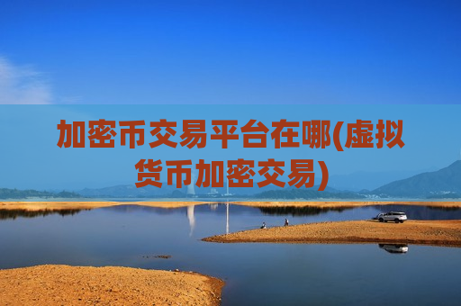 加密币交易平台在哪(虚拟货币加密交易)