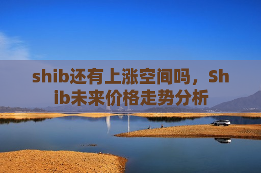 shib还有上涨空间吗，Shib未来价格走势分析