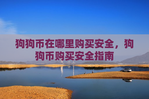 狗狗币在哪里购买安全，狗狗币购买安全指南