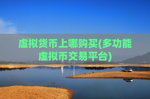 虚拟货币上哪购买(多功能虚拟币交易平台)