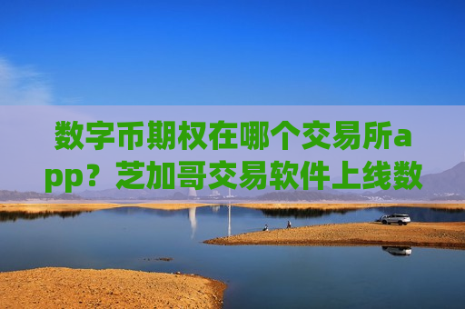 数字币期权在哪个交易所app？芝加哥交易软件上线数字币