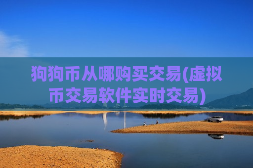 狗狗币从哪购买交易(虚拟币交易软件实时交易)
