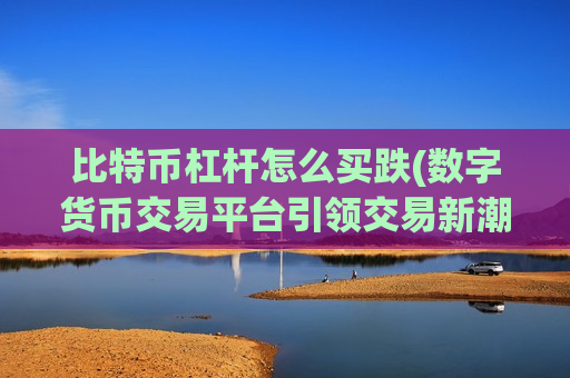 比特币杠杆怎么买跌(数字货币交易平台引领交易新潮流)