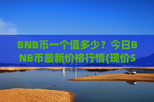 BNB币一个值多少？今日BNB币最新价格行情(现价5305.04元)