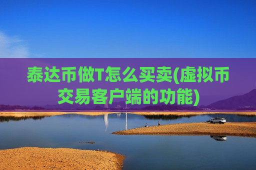 泰达币做T怎么买卖(虚拟币交易客户端的功能)