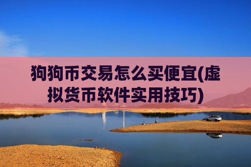 狗狗币交易怎么买便宜(虚拟货币软件实用技巧)