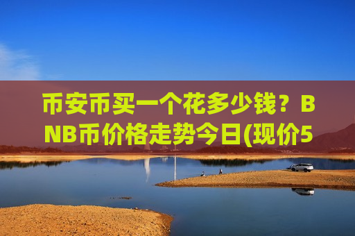 币安币买一个花多少钱？BNB币价格走势今日(现价5295.02元)