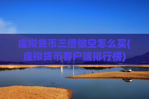 虚拟货币三倍做空怎么买(虚拟货币客户端排行榜)