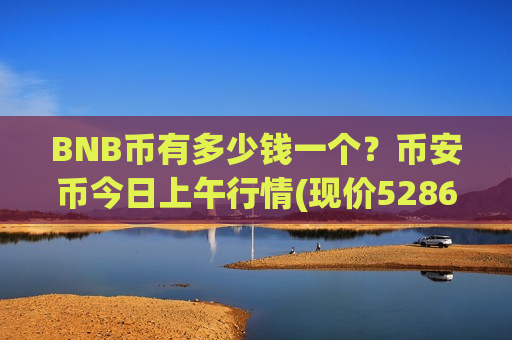 BNB币有多少钱一个?币安币今日上午行情(现价5286元)-第1张图片-币圈网 BNB币有多少钱一个?币安币今日上午行情(现价5286元)-第1张图片-币圈网