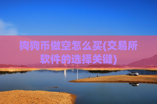 狗狗币做空怎么买(交易所软件的选择关键)-第1张图片-币圈网