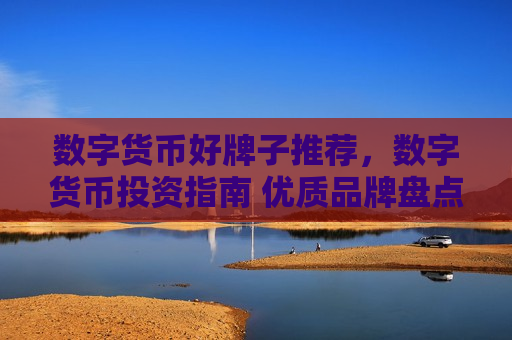 数字货币好牌子推荐，数字货币投资指南 优质品牌盘点-第1张图片-币圈网