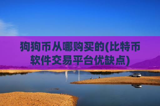 狗狗币从哪购买的(比特币软件交易平台优缺点)-第1张图片-币圈网