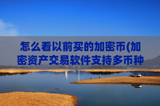 怎么看以前买的加密币(加密资产交易软件支持多币种)-第1张图片-币圈网