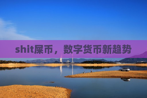 shit屎币，数字货币新趋势-第1张图片-币圈网