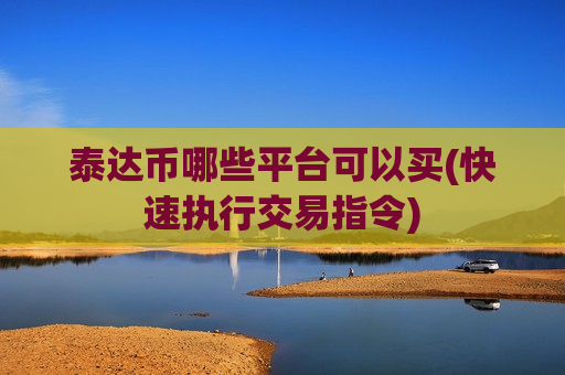 泰达币哪些平台可以买(快速执行交易指令)-第1张图片-币圈网