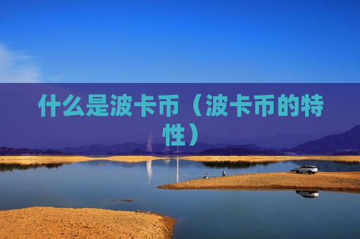 什么是波卡币（波卡币的特性）