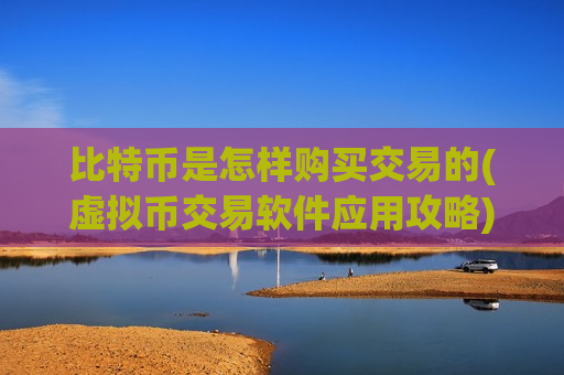 比特币是怎样购买交易的(虚拟币交易软件应用攻略)