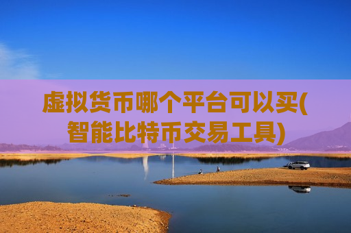 虚拟货币哪个平台可以买(智能比特币交易工具)