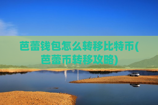 芭蕾钱包怎么转移比特币(芭蕾币转移攻略)