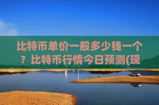 比特币单价一般多少钱一个？比特币行情今日预测(现价710146.81元)
