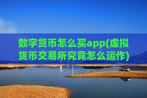 数字货币怎么买app(虚拟货币交易所究竟怎么运作)