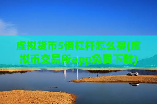 虚拟货币5倍杠杆怎么买(虚拟币交易所app免费下载)