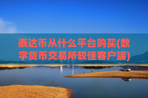 泰达币从什么平台购买(数字货币交易所较佳客户端)
