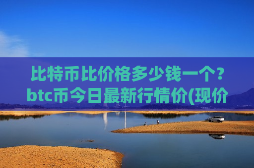 比特币比价格多少钱一个？btc币今日最新行情价(现价728722.62元)-第1张图片-币圈网