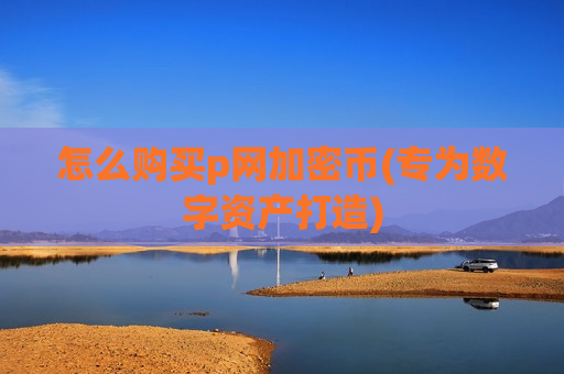 怎么购买p网加密币(专为数字资产打造)