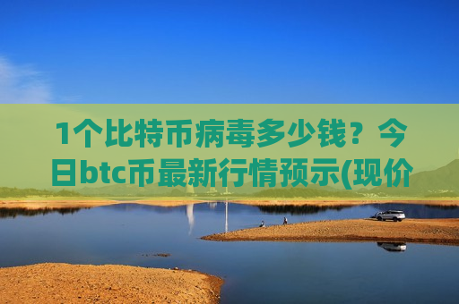 1个比特币病毒多少钱？今日btc币最新行情预示(现价706762.61元)