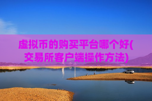 虚拟币的购买平台哪个好(交易所客户端操作方法)
