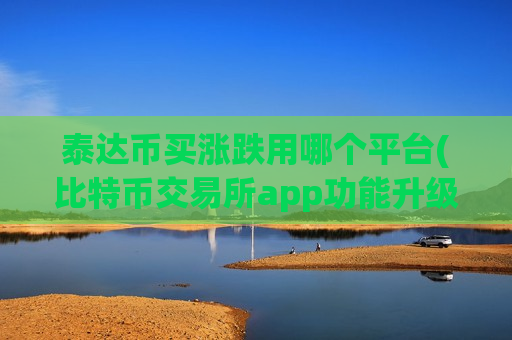 泰达币买涨跌用哪个平台(比特币交易所app功能升级)