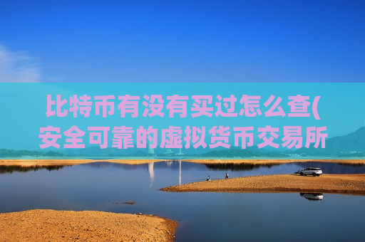比特币有没有买过怎么查(安全可靠的虚拟货币交易所app)